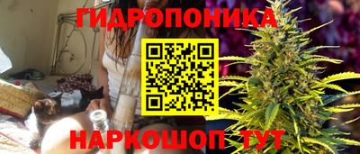 прущие грибы Балашиха