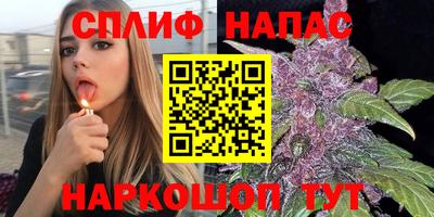 крисы Балахна