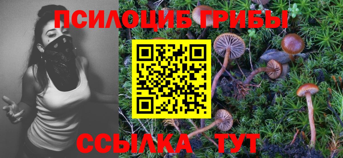 Жигулёвск  как найти закладки  Галлюциногенные грибы Psilocybine cubensis  Вход с VPN  Псилоцибиновые грибы Psilocybine cubensis 